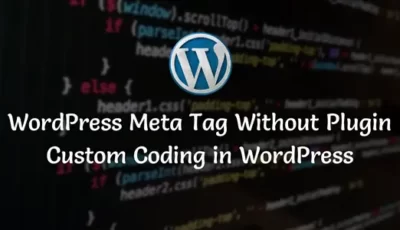 WordPress Meta Tag Without Plugin