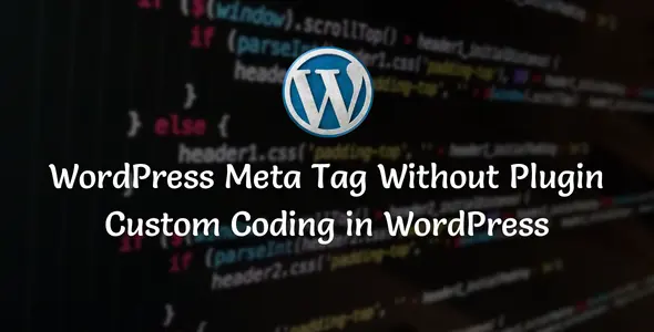 WordPress Meta Tag Without Plugin