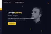 Wokoya Laravel CMS With Lifetime Update
