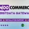 WooCommerce FirstData Gateway