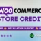 WooCommerce Store Credit
