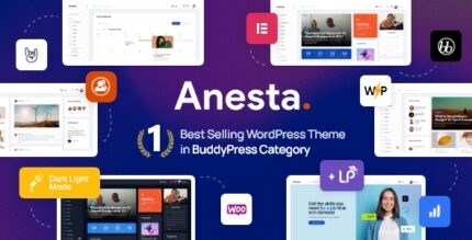 Anesta 1.1.0 Intranet, Extranet, Community and BuddyPress WordPress Theme With Lifetime Updates.
