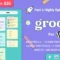 Groovy 1.0.0 Modern & Lightweight Blog for WordPress Theme Lifetime Update.