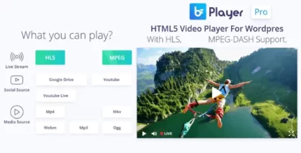 bzplayer Pro Live Streaming Player WordPress Plugin With Lifetime Update.