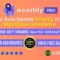 Woostify Pro With Original License Key For 1 Year Auto Update.