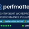 Perfmatters WordPress Performance Plugin With Lifetime Update.