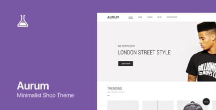 Aurum - WordPress & WooCommerce Shopping Theme