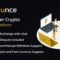 Finounce - An Advance Peer to Peer Crypto Exchange Platform