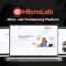 MicroLab - Micro Job Freelancing Platform