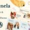 Kenela - Dog Breeder & Adoption WordPress Theme