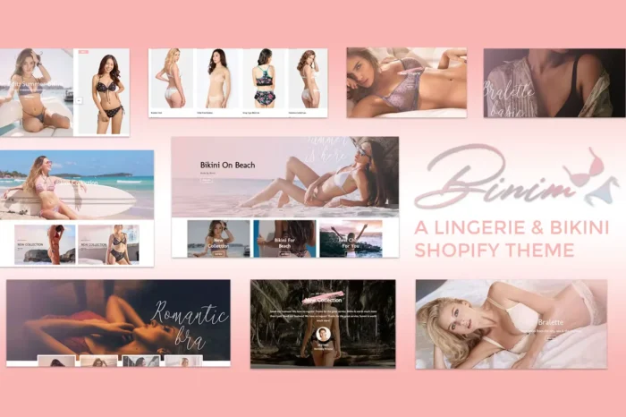 Binim - Lingerie & Bikini Responsive Shopify