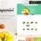 Organici | Creative Multi-Purpose Shopify Theme