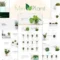 MinPlant - MultiPurpose Plant Store Shopify Theme With Lifetime Update.