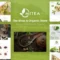 Mitea - Tea Shop & Organic Store Shopify Theme With Lifetime Update.