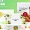Vagen - Organic Vegetables Shopify 2.0 Theme