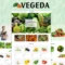 Vegeda - Vegetables And Organic Food Shopify Theme
