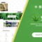 Tijuana - Marijuana Dispensary & Medical WordPress Theme With Lifetime Update.