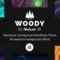 Woody - Elementor Coming Soon WordPress Theme With Lifetime Update.