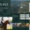 Puravi - Equestrian Club & Horse Riding Sports Theme With Lifetime Update.