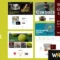 Racquet - Tennis, Badminton & Squash WordPress Theme with Lifetime Update.