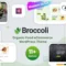 Broccoli - Organic Shop WooCommerce Theme With Lifetime Update.