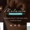 Melania | Blog about Handmade & Crafts WordPress Theme + Shop With Lifetime Update.