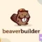 Beaver Builder Pro v2.8.0.2 With Lifetime Update.