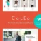 Coleo | A Stylish Fashion Clothing Store WordPress Theme with Lifetime Update.