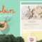 Robin - Cute & Colorful WordPress Blog Theme With Lifetime Update.