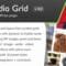 Media Grid - WordPress Responsive Portfolio With Lifetime Update.